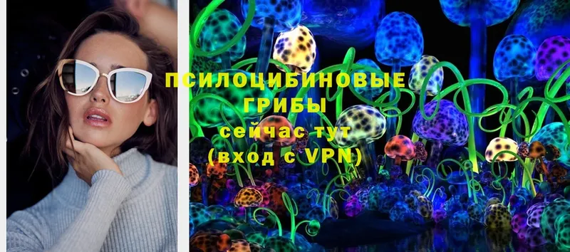 kraken сайт  Буй  Псилоцибиновые грибы MAGIC MUSHROOMS 